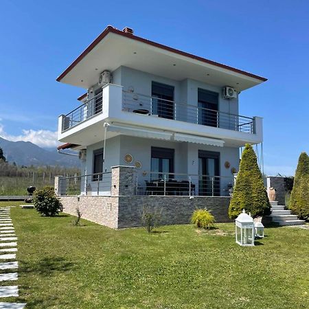 Plaka Luxury Villa Litóchoron Dış mekan fotoğraf