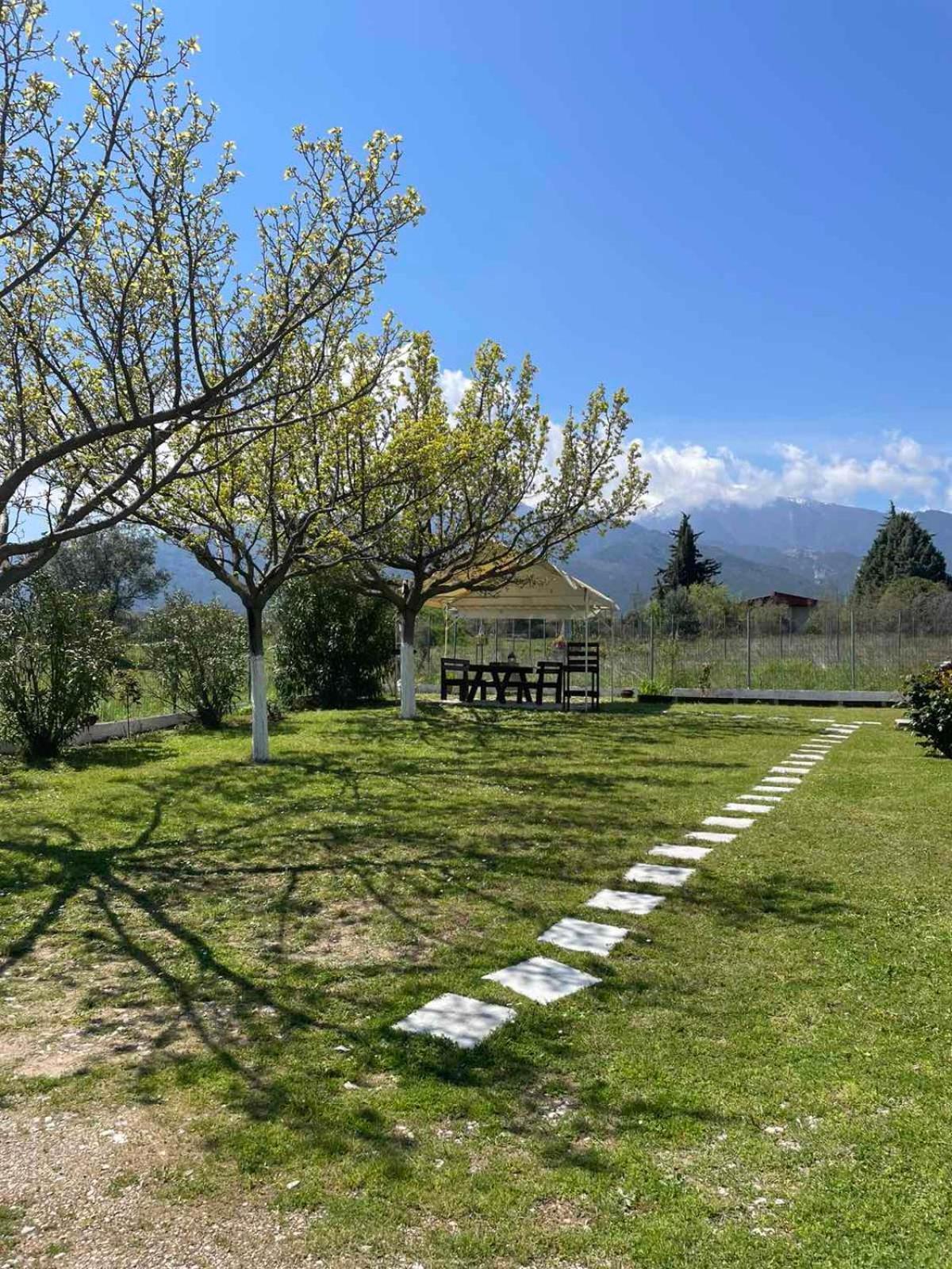 Plaka Luxury Villa Litóchoron Dış mekan fotoğraf