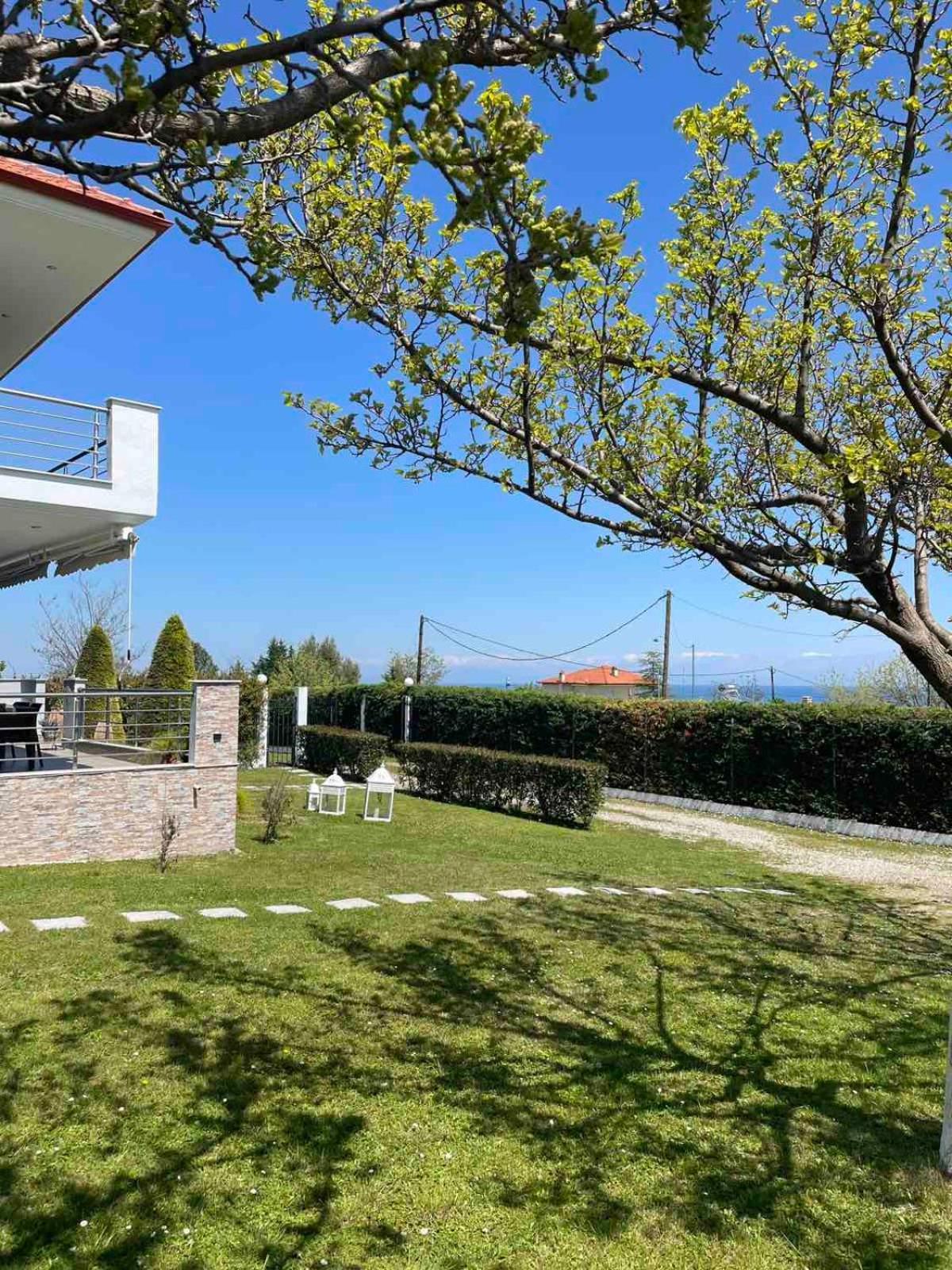 Plaka Luxury Villa Litóchoron Dış mekan fotoğraf