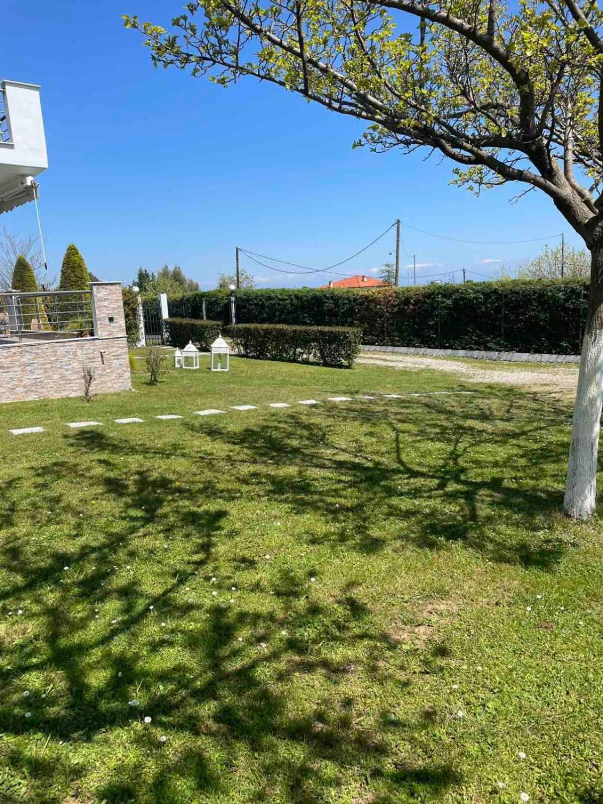 Plaka Luxury Villa Litóchoron Dış mekan fotoğraf