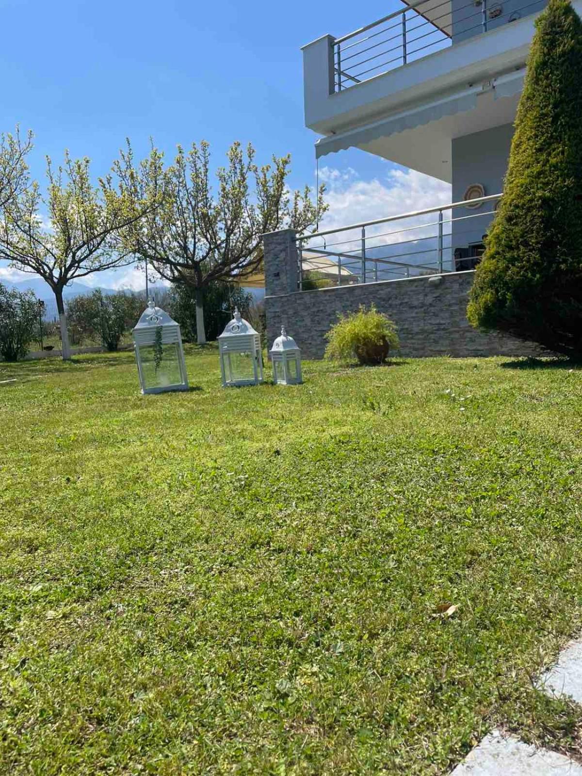 Plaka Luxury Villa Litóchoron Dış mekan fotoğraf