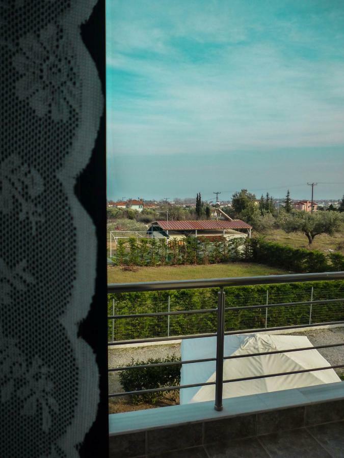 Plaka Luxury Villa Litóchoron Dış mekan fotoğraf